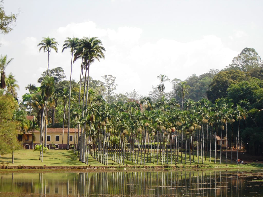 Vista de área verde e lago em Rio Claro SP, com edificações ao fundo