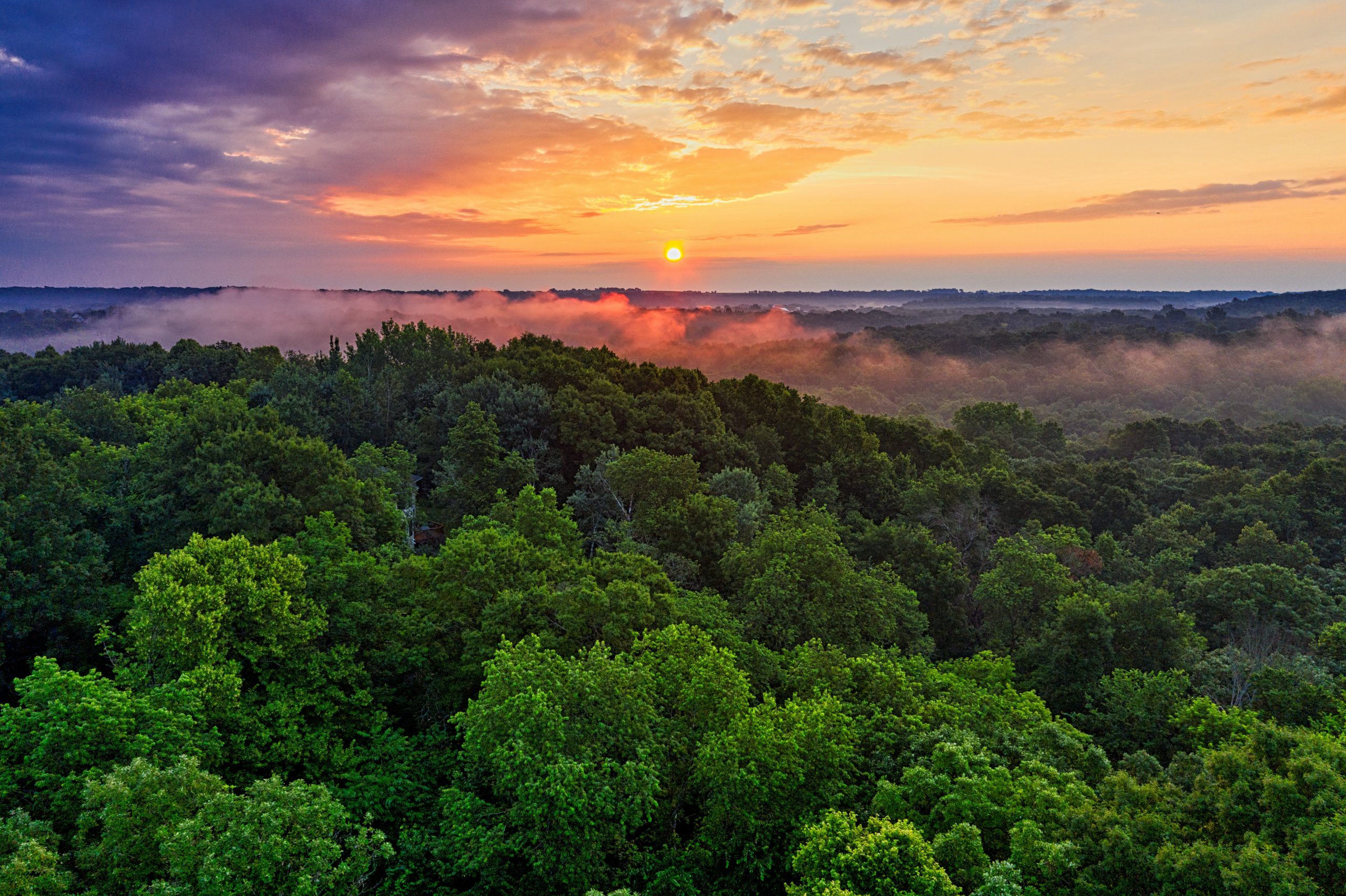Amazônia ao entardecer, com dossel e rio sinuoso visto de cima