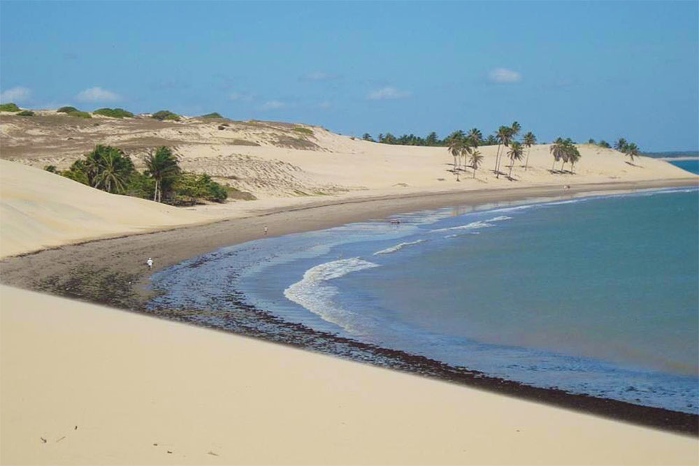 Vista aérea do litoral de Paracuru, com dunas, coqueiros e mar ao fundo
