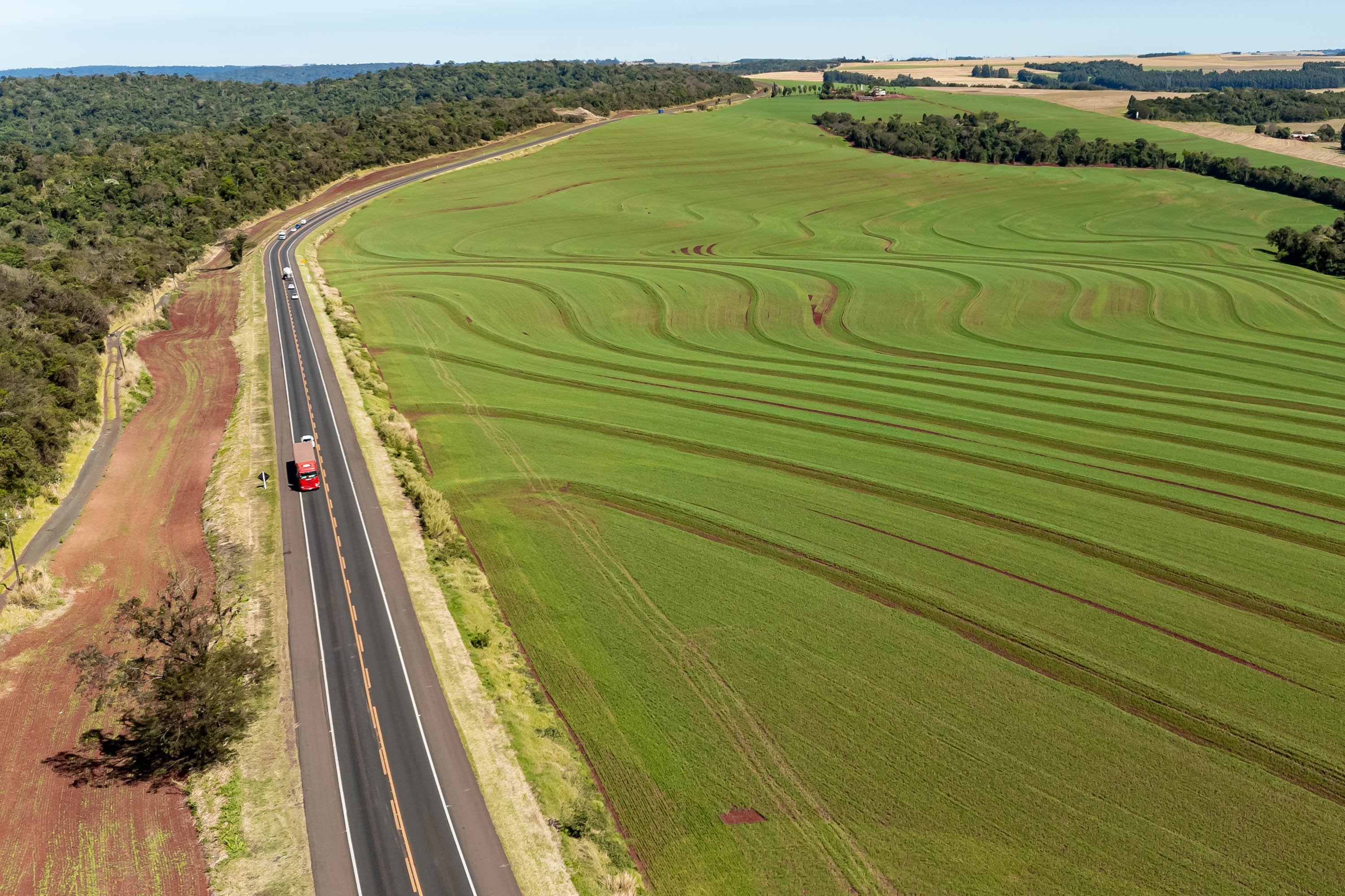 Rodovia no interior do Paraná, céu azul e plantações nas margens