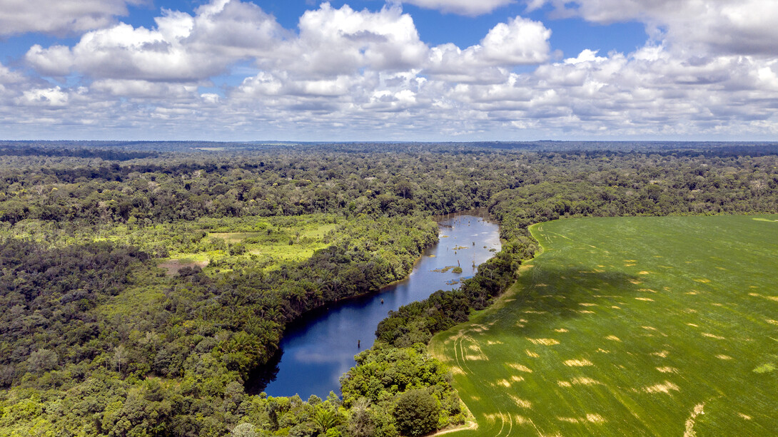 Vista urbana de Belém com áreas verdes e rio ao fundo