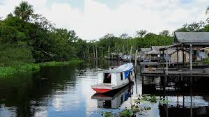 Voadeira em comunidade ribeirinha do Rio Branco, na região do Baixo Rio Branco
