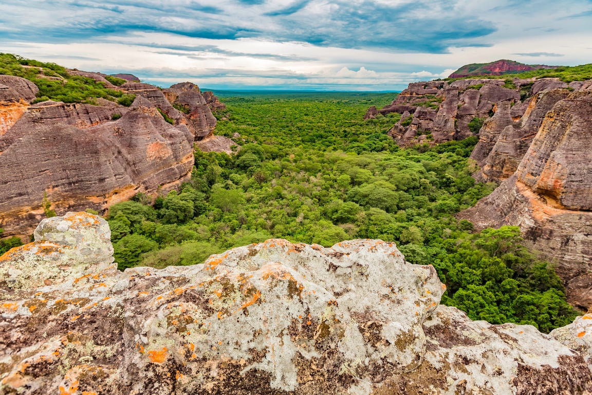 Vegetação típica da caatinga em composição horizontal; paisagem do semiárido piauiense