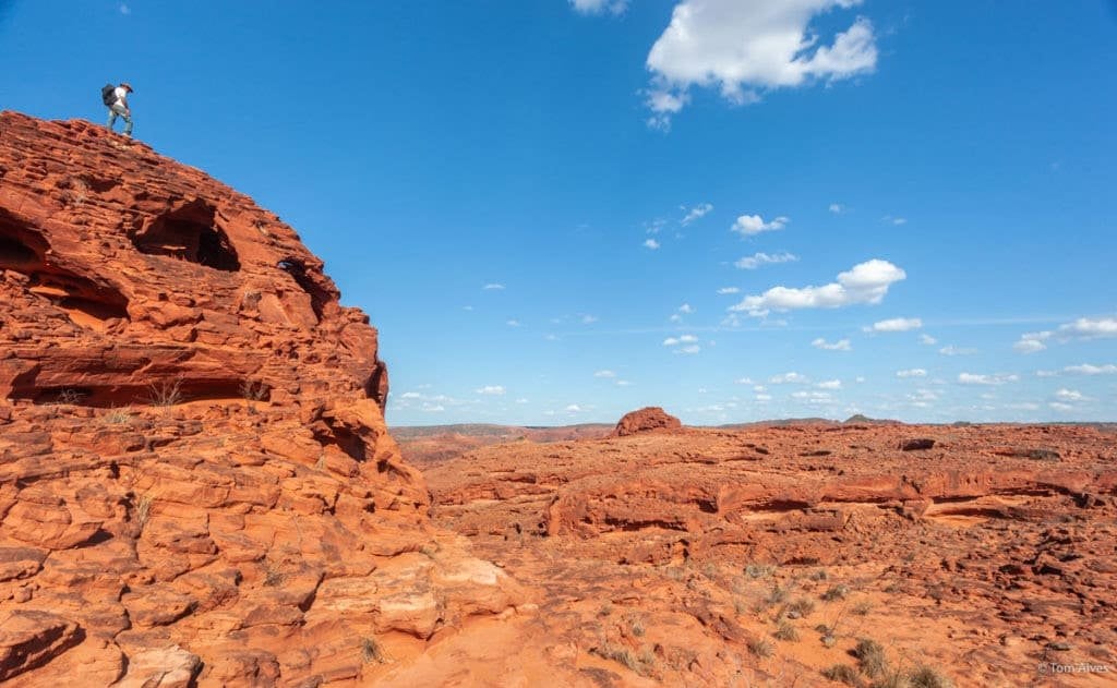 Paisagem do semiárido nordestino, imagem ilustrativa