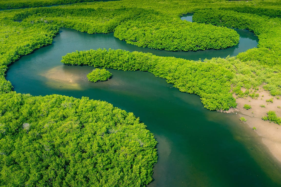 Zonas úmidas da Baixada Maranhense, com rios e áreas alagadas e vegetação exuberante