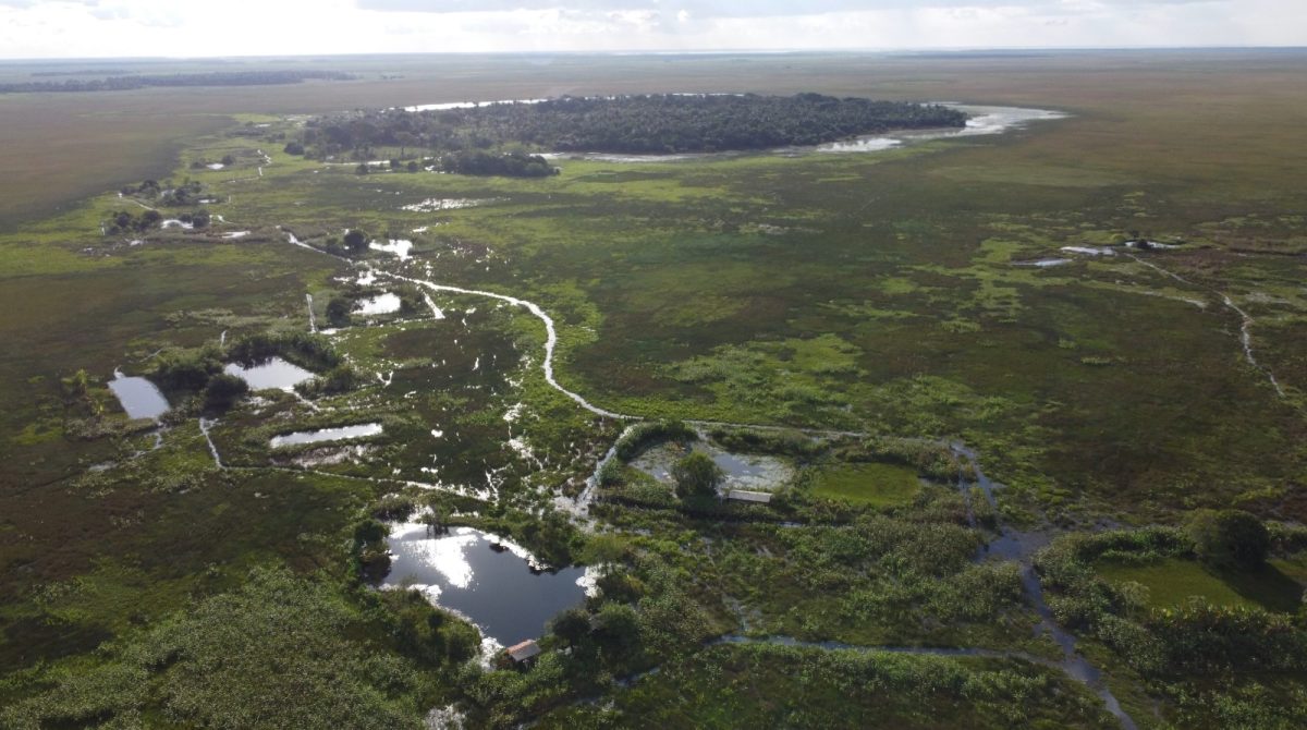 Vista aérea de áreas alagadas e vegetação na Baixada Maranhense, contextualizando o entorno regional de São Bento (MA)