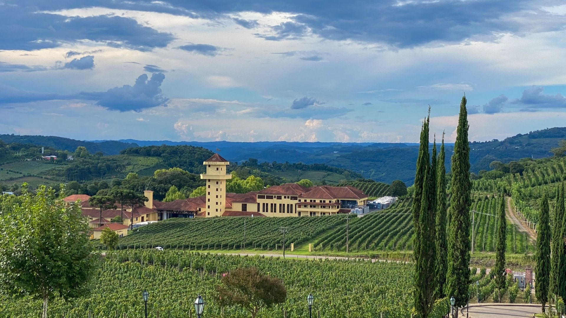 Paisagem da Serra Gaúcha com vinhedos e colinas, representando a região de Boa Vista do Sul RS