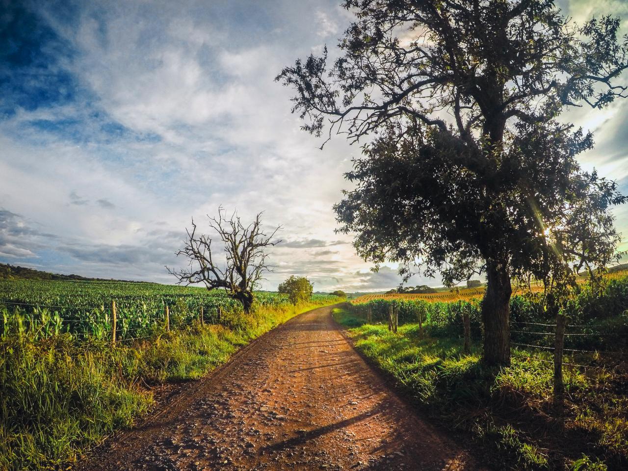 Estrada rural no Planalto Norte catarinense, próxima a Campo Alegre SC