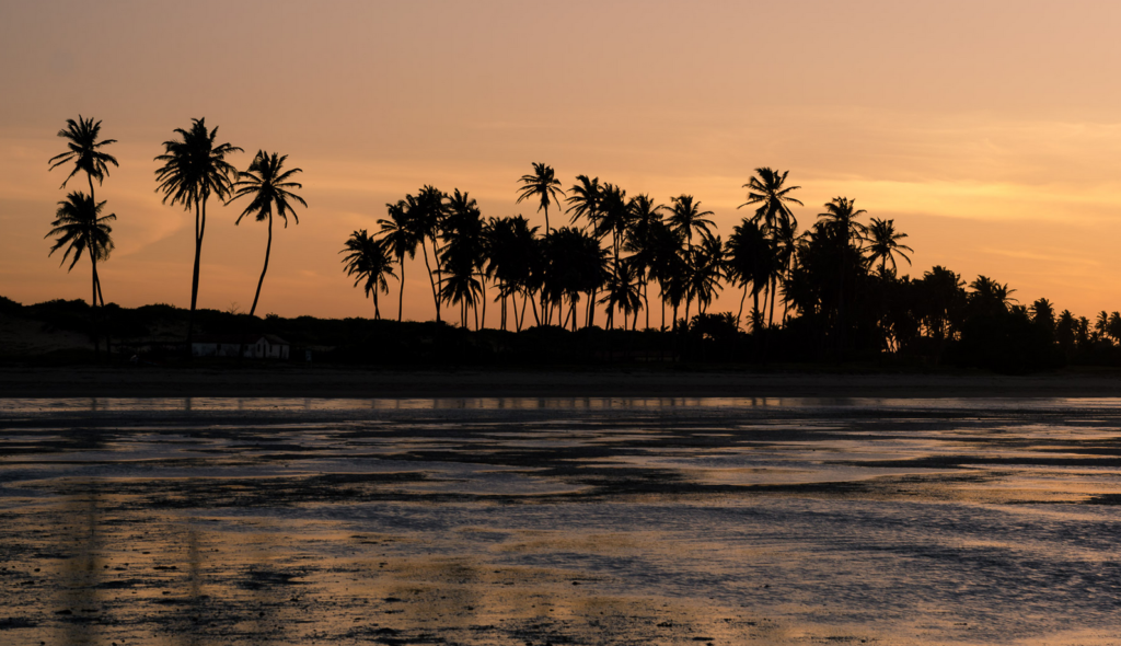 Pôr do sol no litoral do Piauí, com coqueiros em silhueta e mar calmo, em composição horizontal