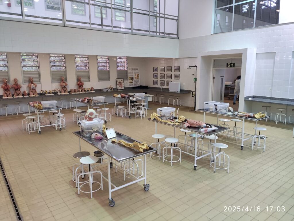 Ambiente de simulação e ensino em saúde, com manequins e mobiliário acadêmico