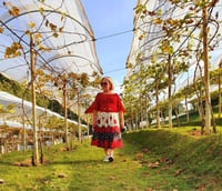 Vinhas e colinas de São Roque SP na Rota do Vinho ao entardecer