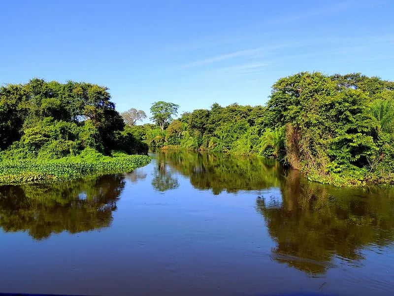 Paisagem do Pantanal sul-mato-grossense ao entardecer, com rio e vegetação ribeirinha