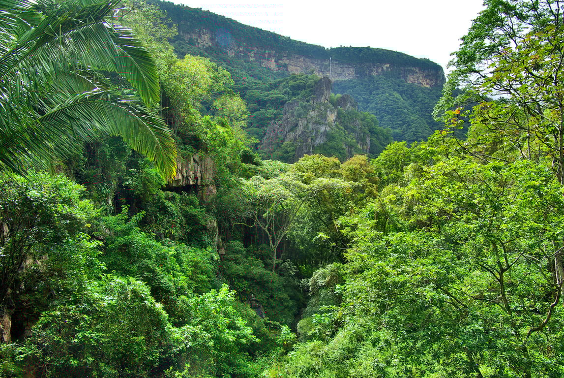 Paisagem do Parque Nacional de Ubajara com vales e encostas verdes ao entardecer