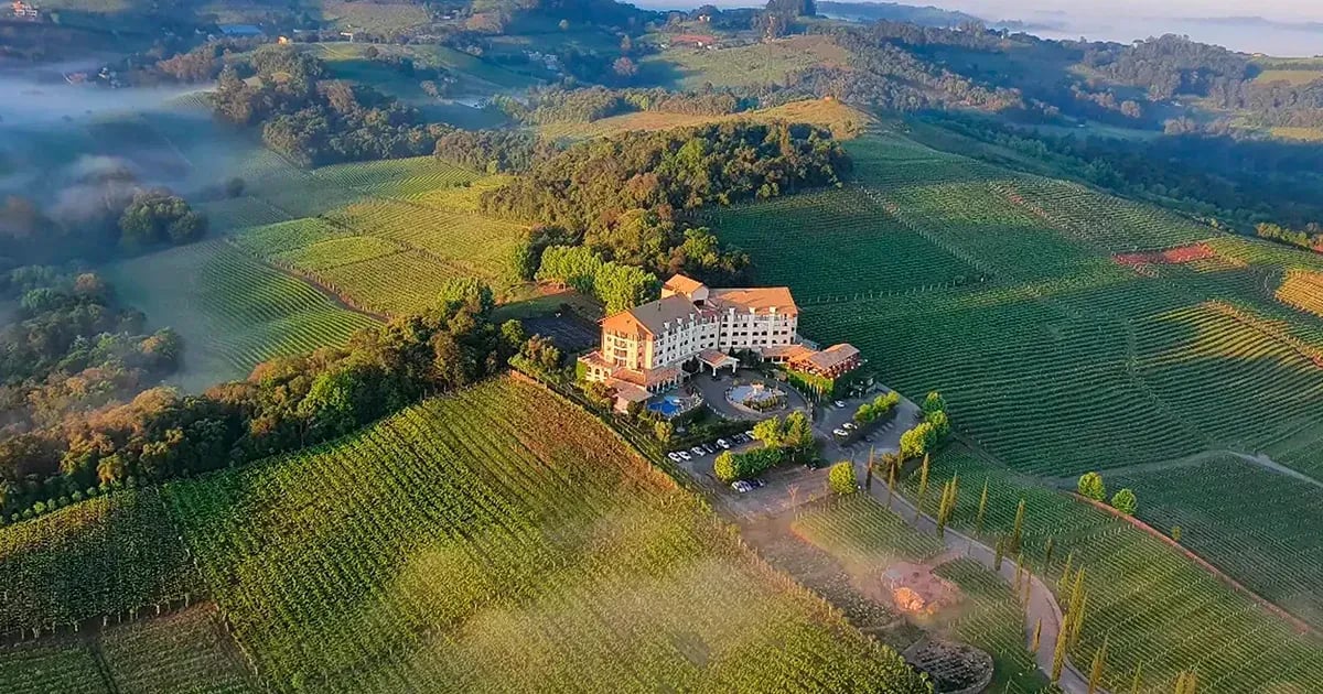 Vista aérea de vinhedos e vales na região de Bento Gonçalves