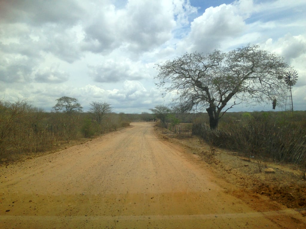 Estrada e vegetação de caatinga no Cariri paraibano ao fim da tarde