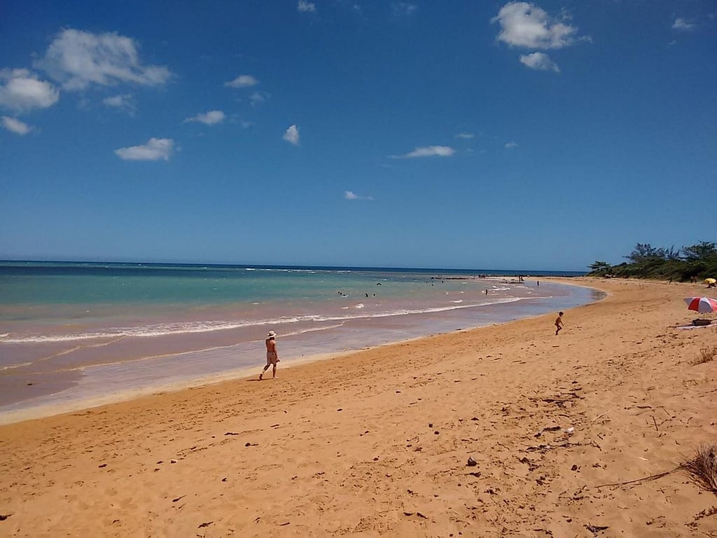 Litoral de Aracruz ES, praia com vegetação de restinga e pessoas caminhando
