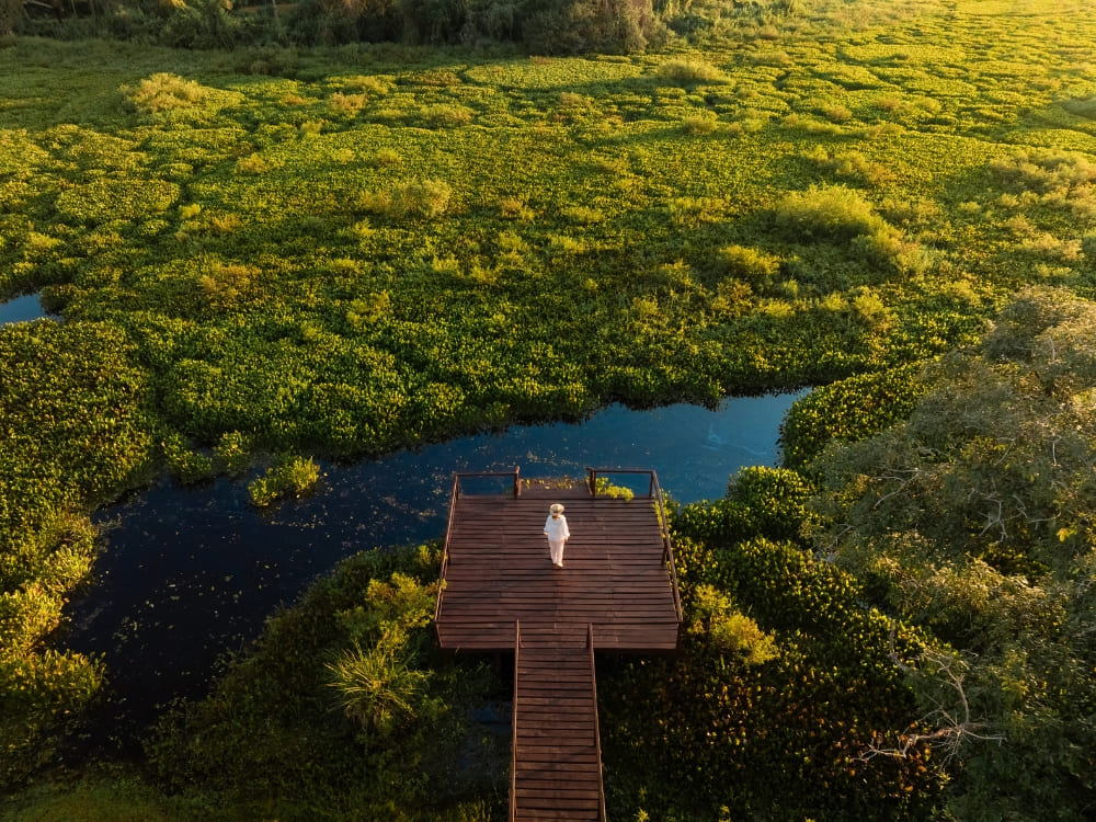 Vista aérea do Pantanal na estação seca, com áreas alagadas e vegetação nativa