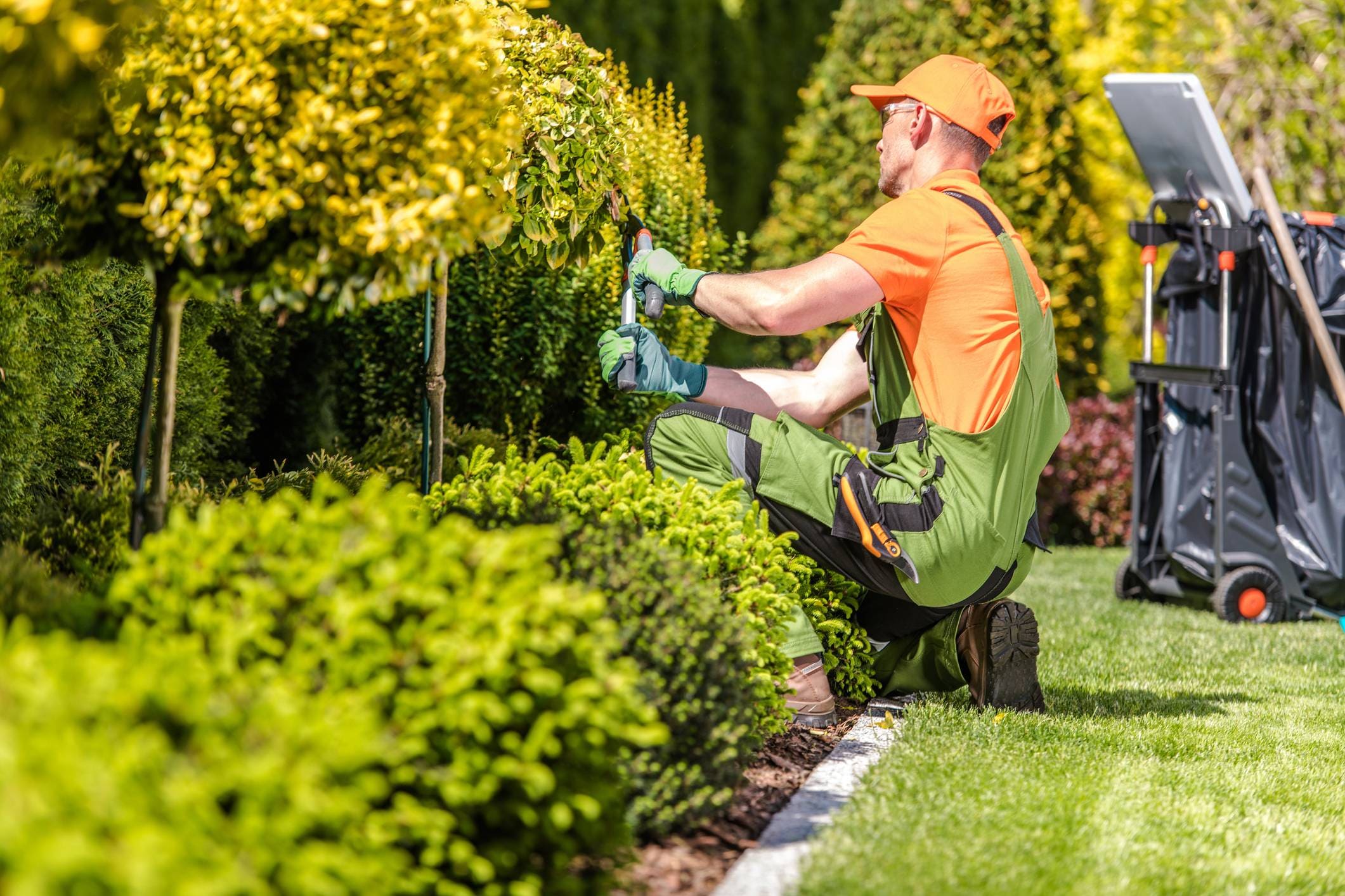 Equipe de jardinagem em área pública de Morro da Fumaça SC