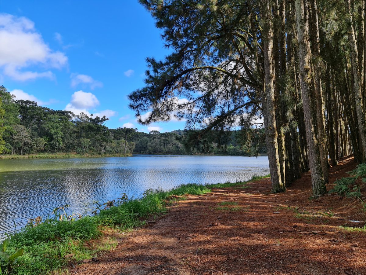 Paisagem com lago e vegetação no interior do RS, remetendo a reservatórios hidrelétricos