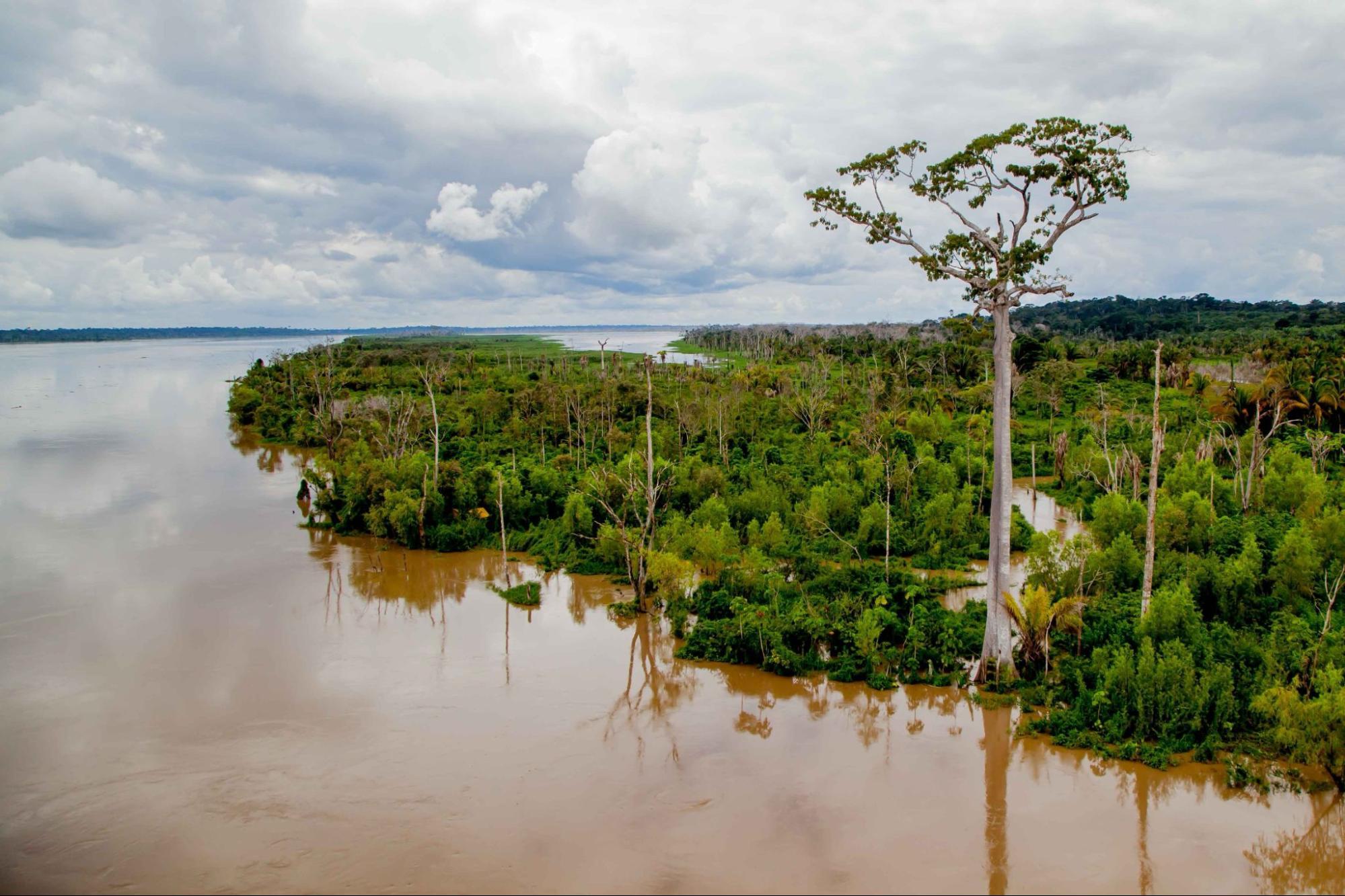 Paisagem de Jaru RO
