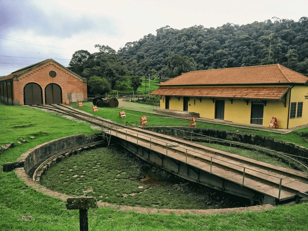 Estrada rural no interior do Paraná, cercada de vegetação atlântica e morros ao fundo sob luz dourada
