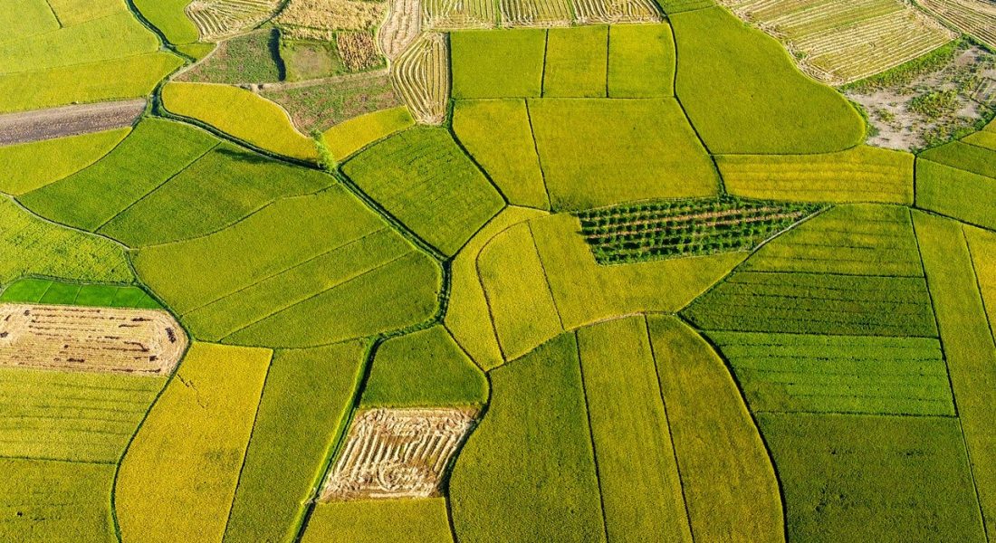Paisagem agrícola no Sul catarinense, em vista aérea com mosaico de áreas verdes