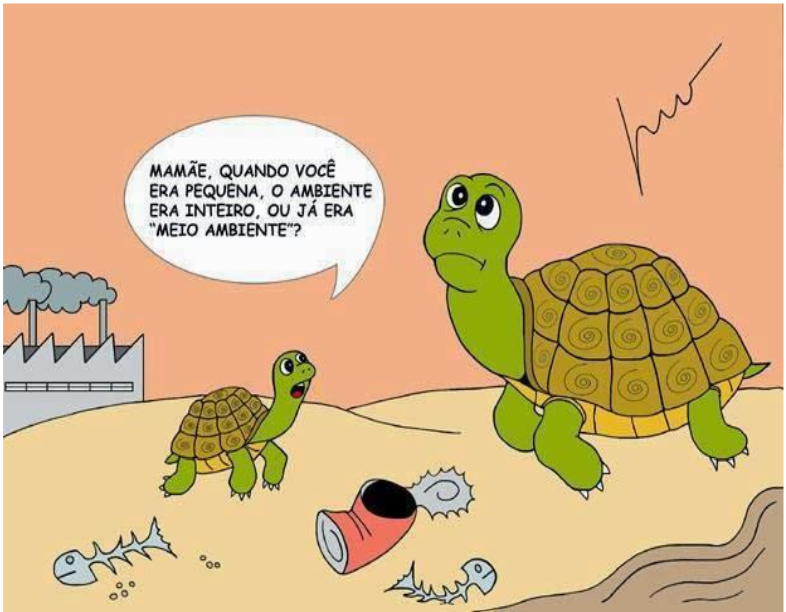 Imagem da questão