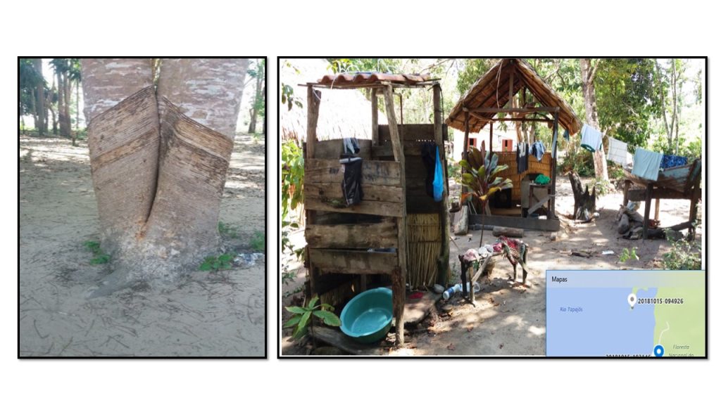 Paisagem amazônica ao entardecer, com construção rústica em área natural