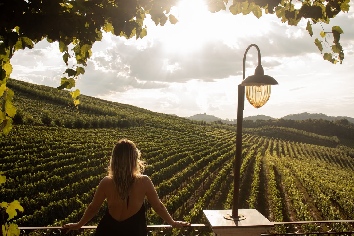 Paisagem serrana com vinhedos ao entardecer na Serra Gaúcha