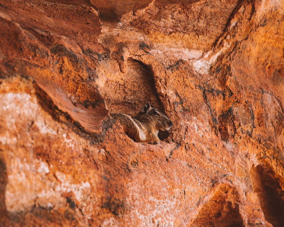 Formações rochosas e paisagem de caatinga na Serra da Capivara, Piauí, em luz de fim de tarde