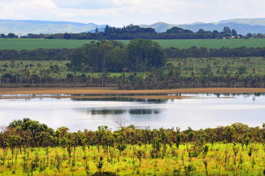 Paisagem do Araguaia em Mato Grosso, com estrada rural e vegetação de cerrado sob céu aberto