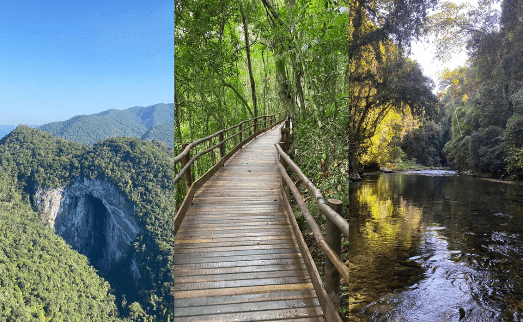 Paisagem da Mata Atlântica no Vale do Ribeira, com morros cobertos de floresta e rio sinuoso