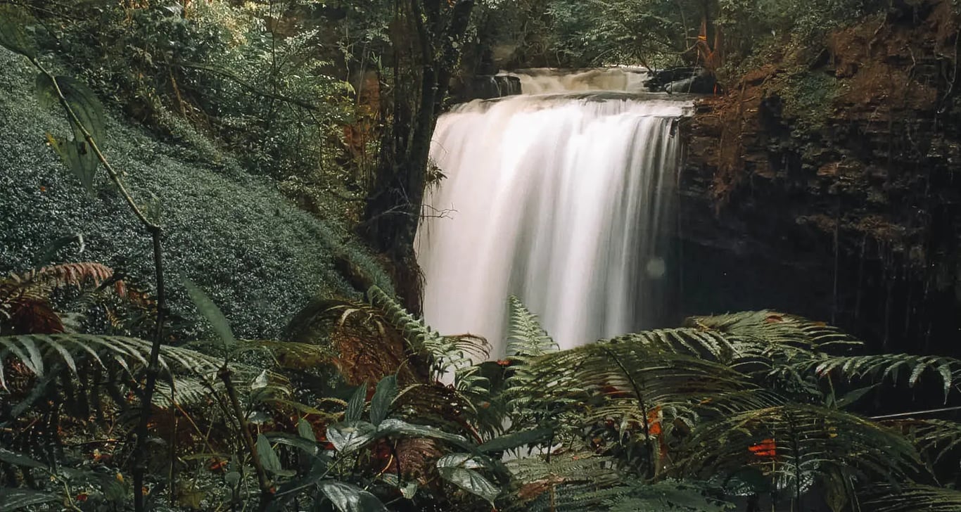 Cachoeira em paisagem do Cerrado com luz dourada