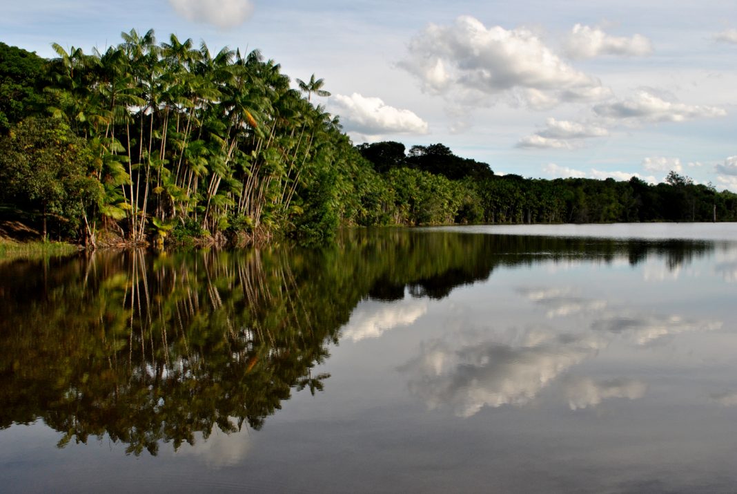 Paisagem rural com cafezais no Espírito Santo