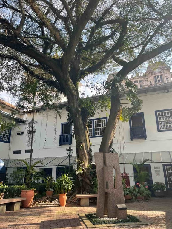 Parque e área urbana de cidade do interior paulista, com escultura e vegetação, em composição horizontal e tom editorial