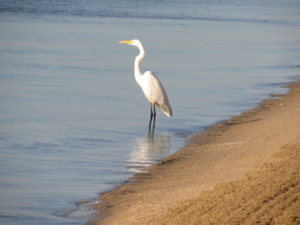 Orla do Laranjal em Pelotas (RS), com a Lagoa dos Patos ao entardecer
