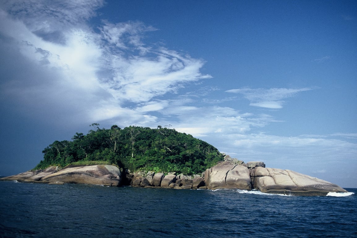 Vista aérea de manguezal e baía ao entardecer em Florianópolis, com rochas e vegetação costeira