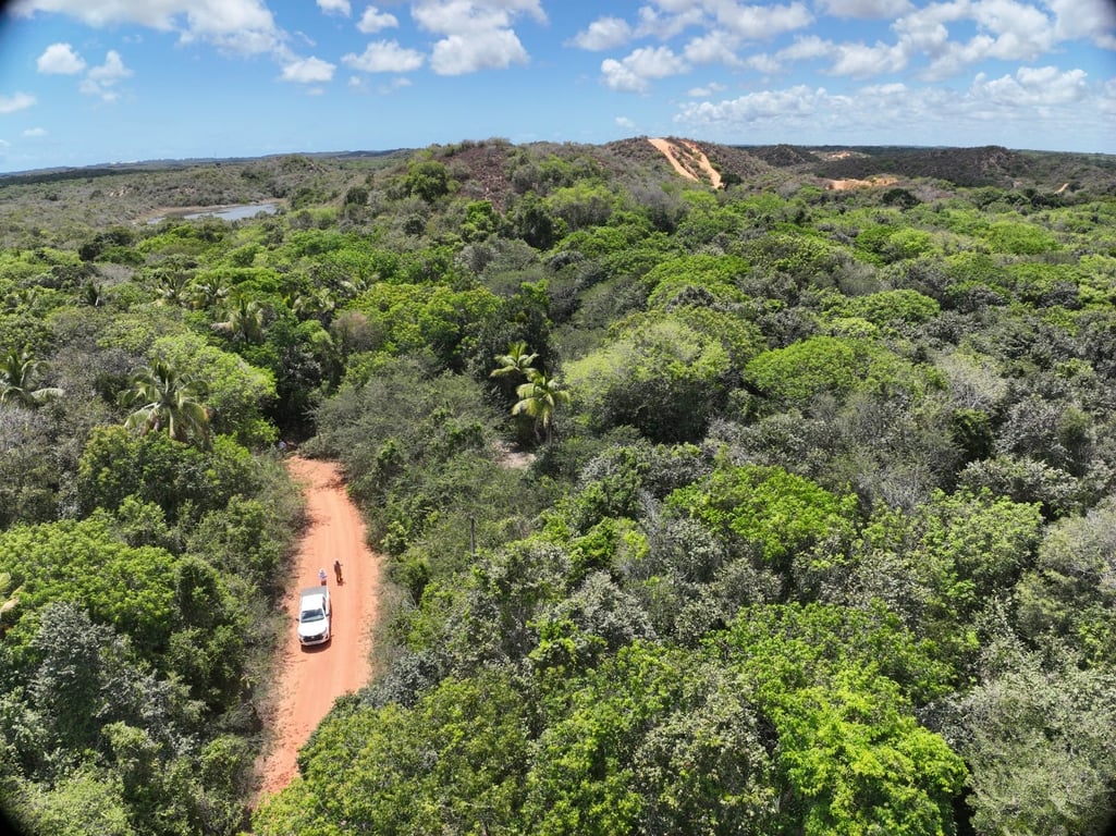 Trilha na Mata Atlântica em estrada de terra, com vegetação densa e equipe em deslocamento