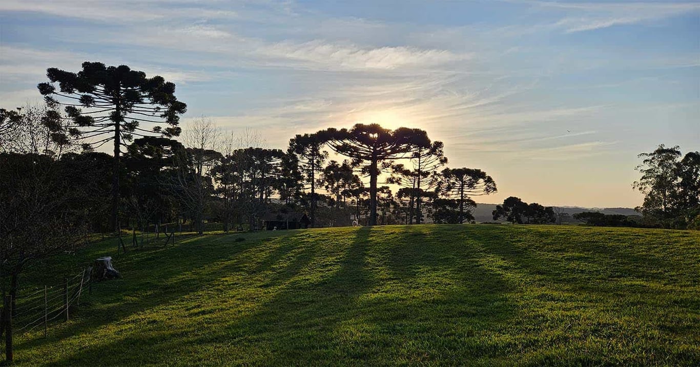 Vista de Campo Alegre SC, no Planalto Norte catarinense