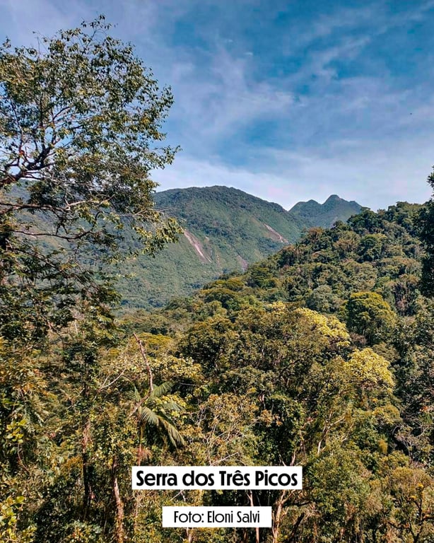 Paisagem rural de Santa Rosa de Lima (SC)