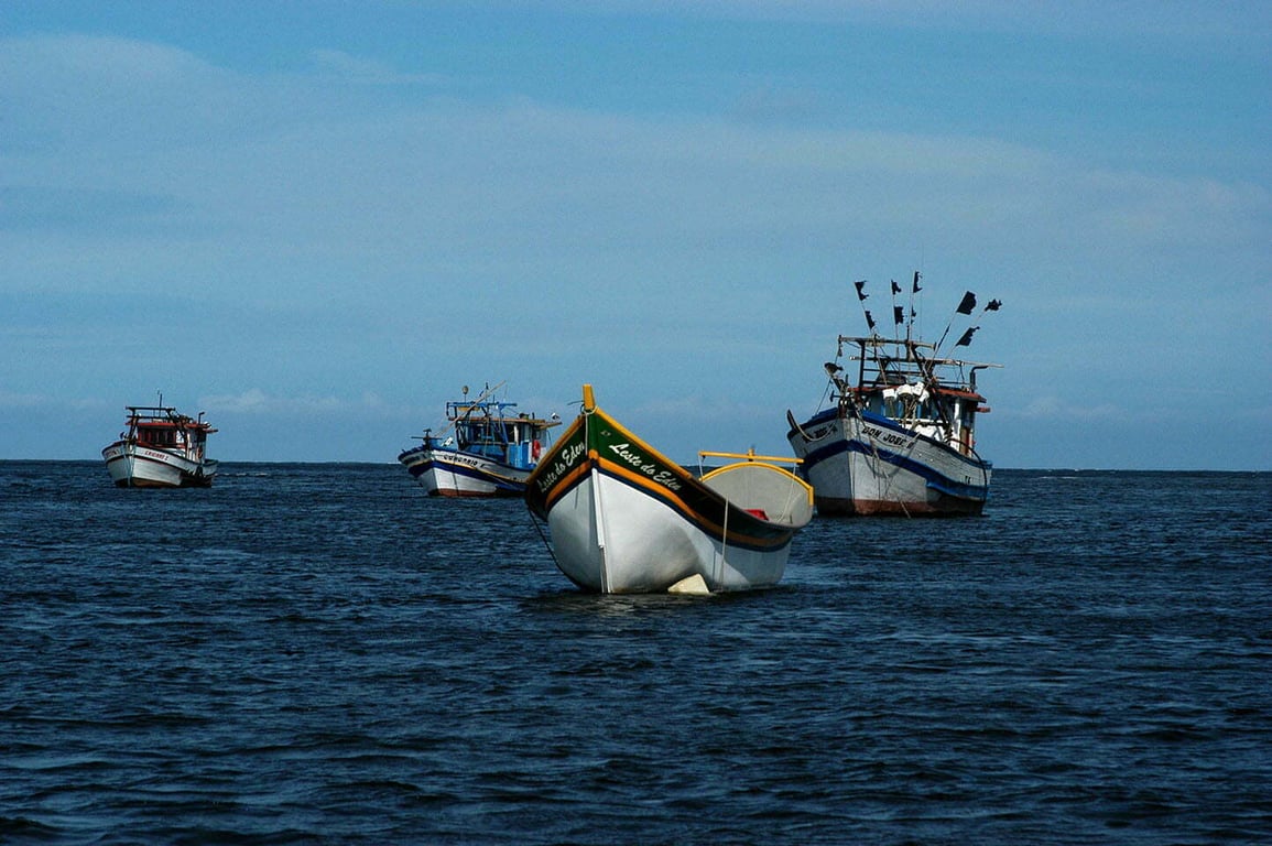 Barcos de pesca no litoral de São Paulo ao amanhecer, mar calmo e porto simples ao fundo