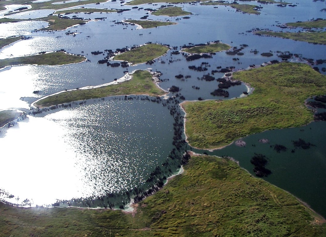 Pantanal ao entardecer, áreas alagadas e vegetação típica