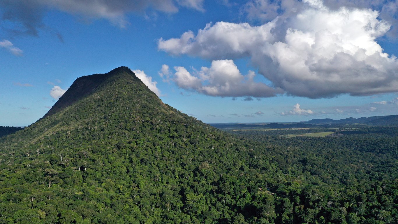Parque Nacional e Histórico do Monte Pascoal, Mata Atlântica ao redor e o monte ao fundo