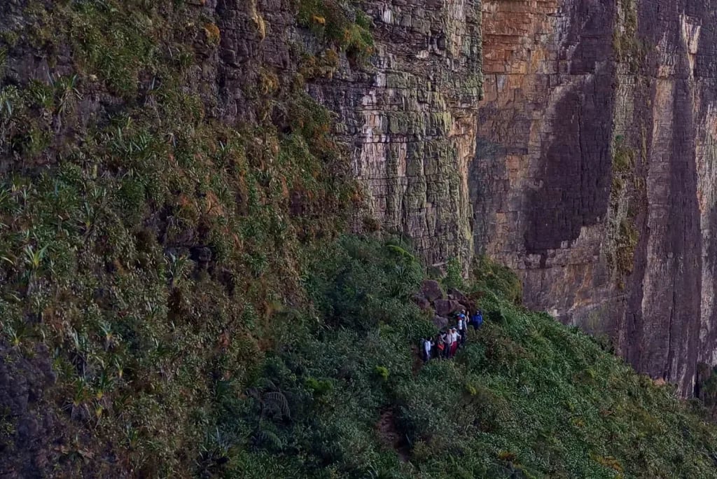 Paisagem de fronteira em Roraima, com serras e vegetação dos lavrados