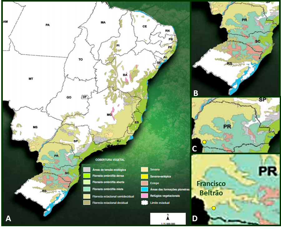 Mapa da cobertura da Mata Atlântica (contexto)