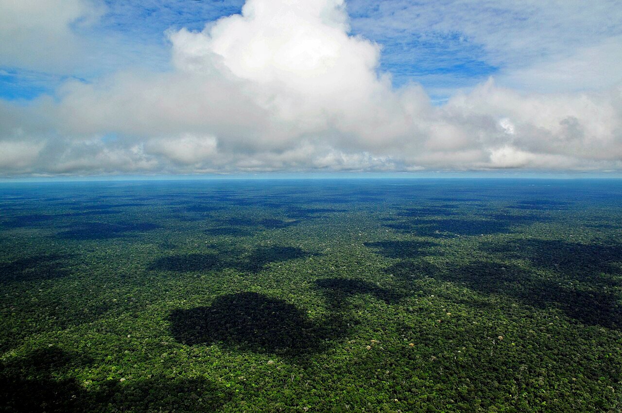 Floresta amazônica no sul do Pará, com céu parcialmente nublado, em vista aérea ilustrativa