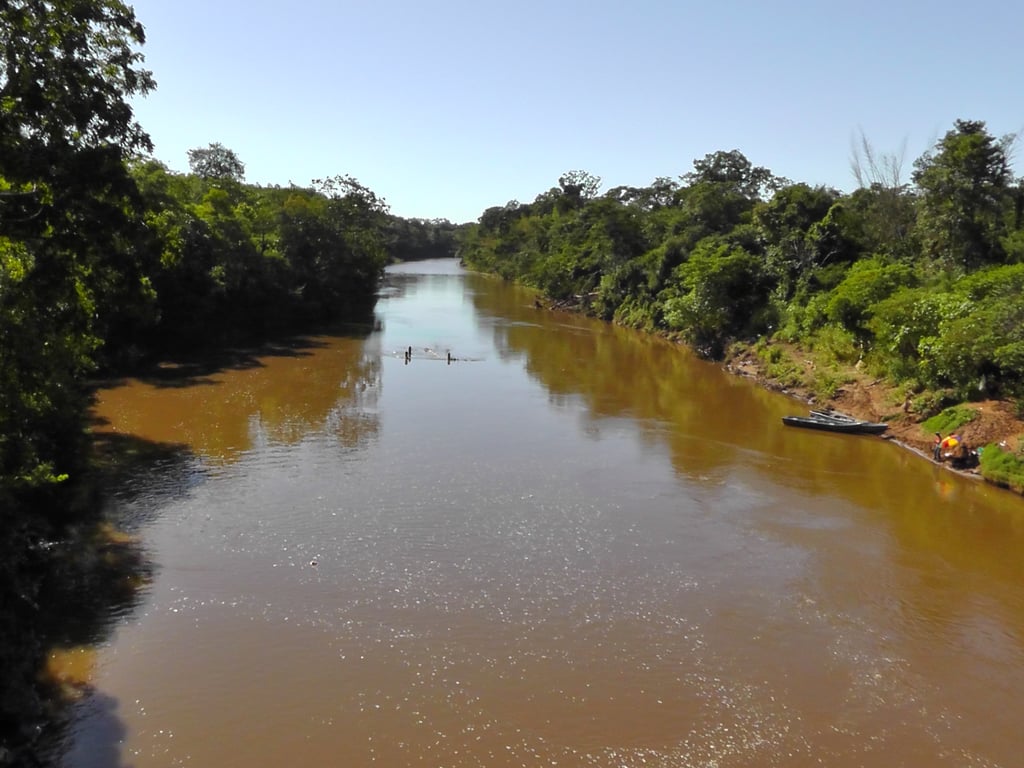 Vista do Rio Miranda em meio à vegetação na região de Guia Lopes da Laguna, Mato Grosso do Sul.