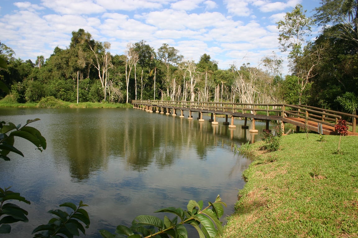 Paisagem rural do Oeste do Paraná ao pôr do sol, representando a região de Palotina