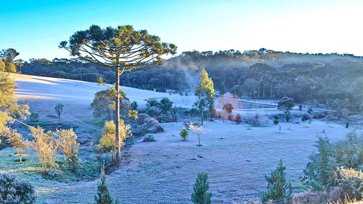 É uma imagem do post com o título Prefeitura de Rio do Campo SC abre concurso com vagas para todos os níveis