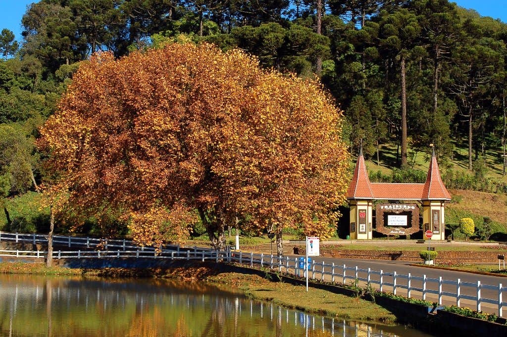 Vista urbana de Fraiburgo SC com lago e vegetação de clima serrano